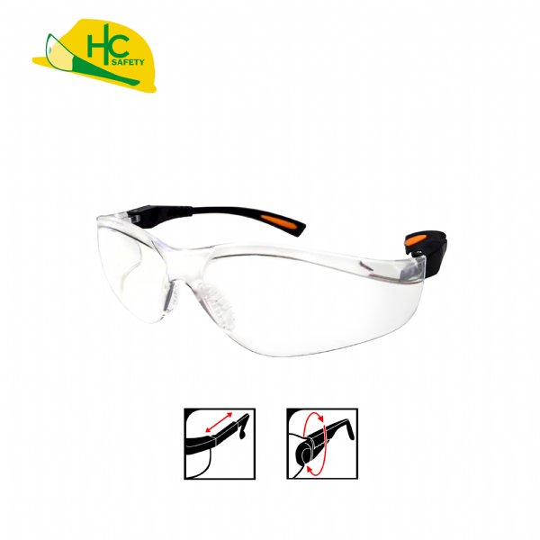 P9005RR, Safety Glasses
