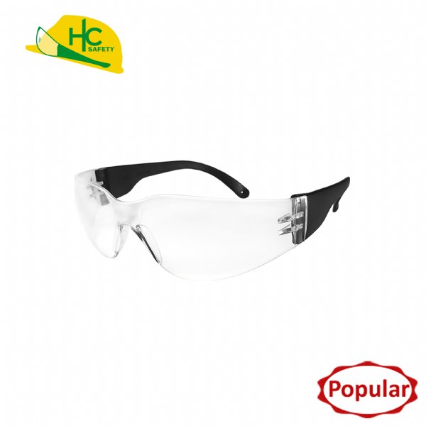 P802, Safety Glasses