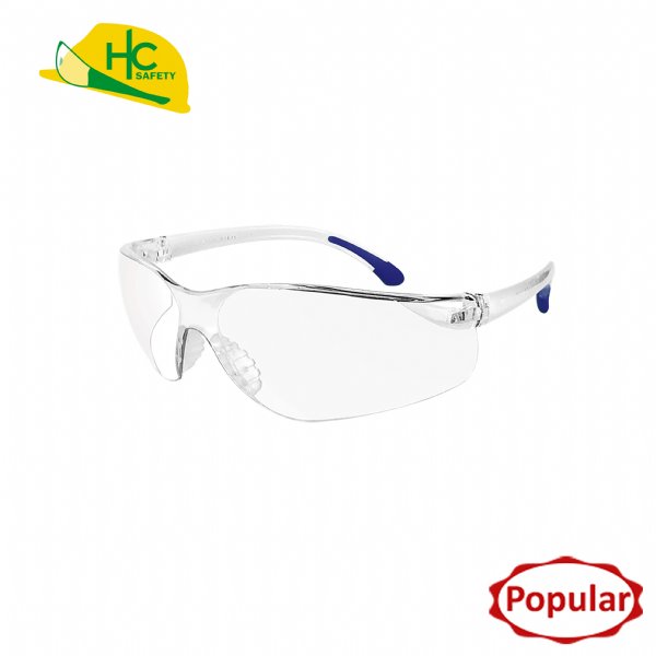 P9005, Safety Glasses