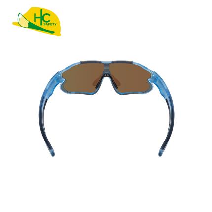 太陽眼鏡  HCS295