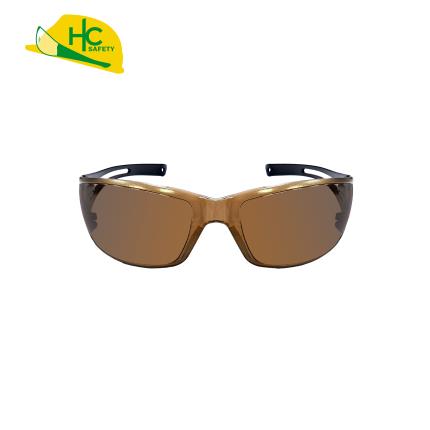 Safety Glasses HC296