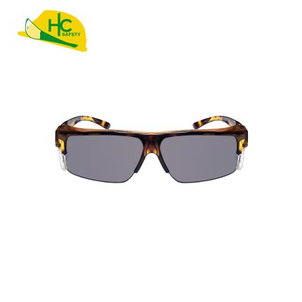 Safety Glasses HC642