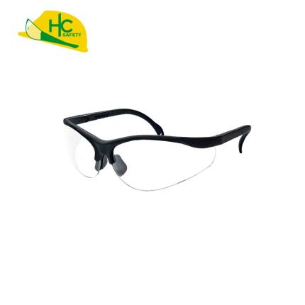 Safety Glasses P9006