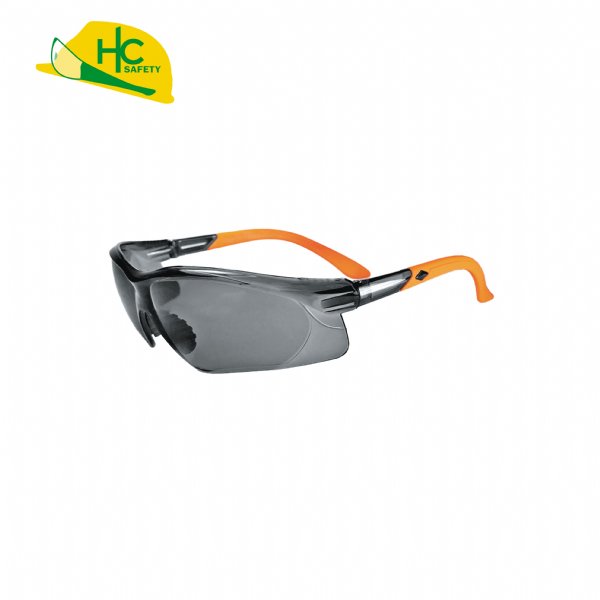 HC200Y, Safety Glasses