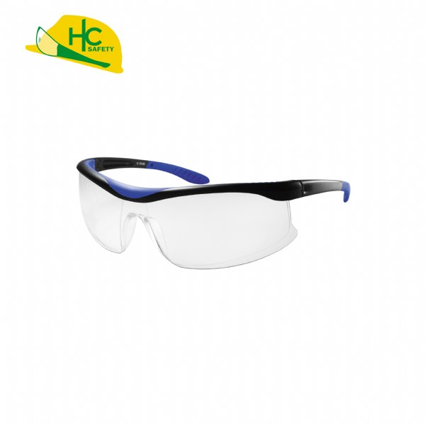 HCP1, Safety Glasses