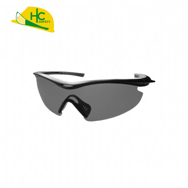 Safety Glasses P511