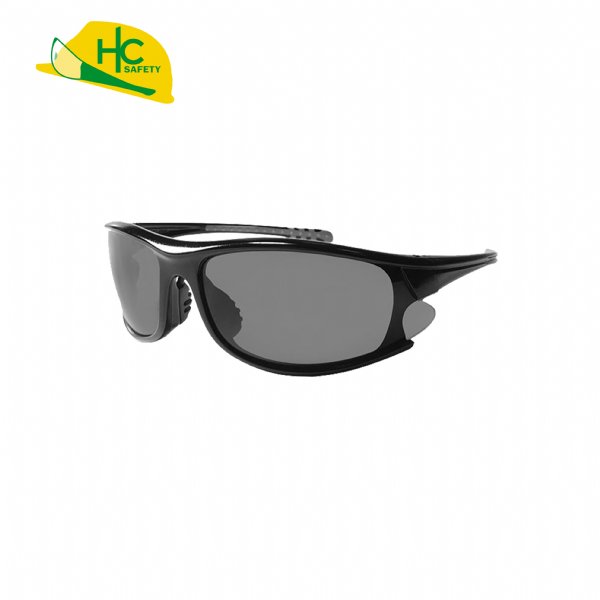 P601, Safety Glasses