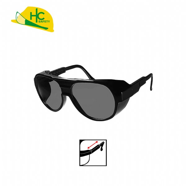 Safety Glasses P641