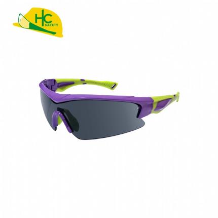 Sunglasses HCS293