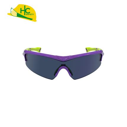 Sunglasses HCS293