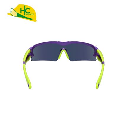 太陽眼鏡 HCS293