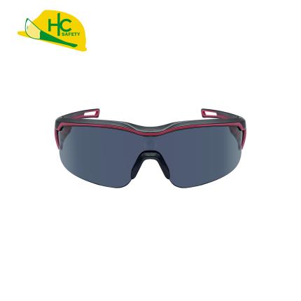 Sunglasses HCS294