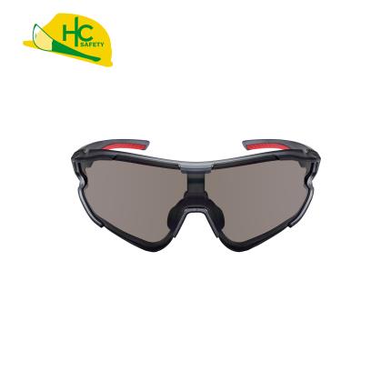 Safety Glasses HC295