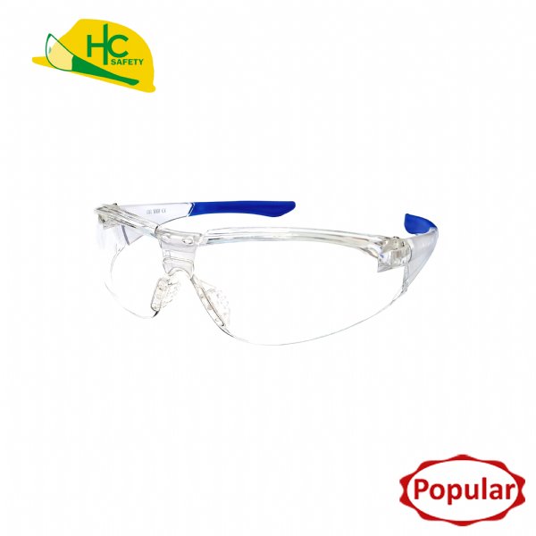 Safety Glasses HC300