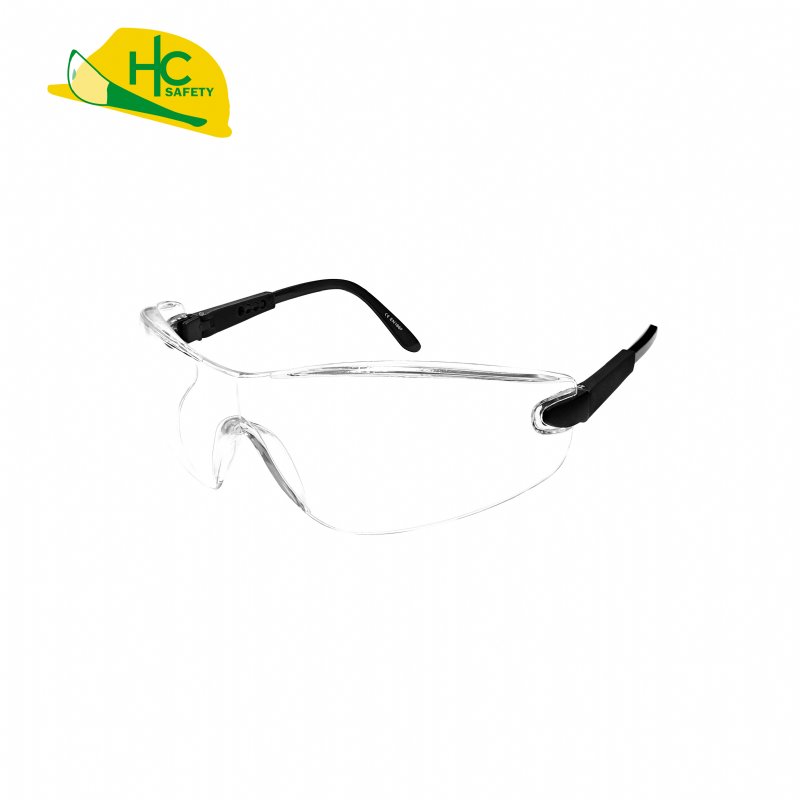 Safety Glasses P251