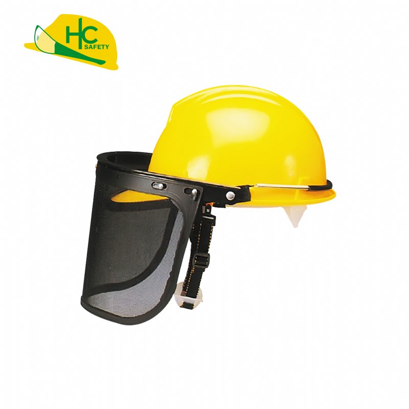 Safety Helmet Ear muffs Set H801